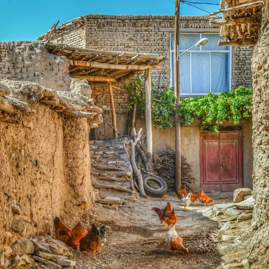 روستای زیبای رزگ